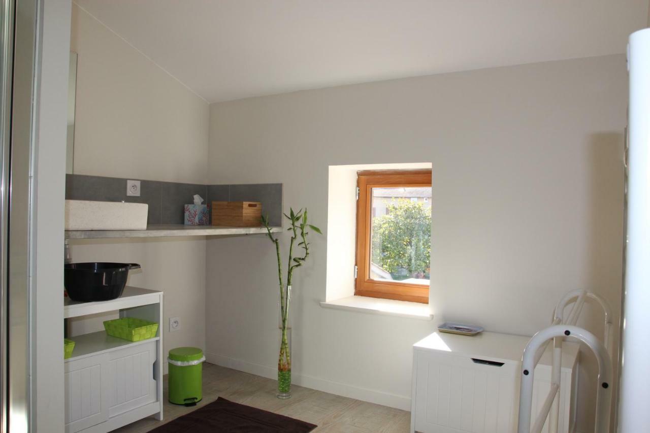 Grand Duplex Au Calme En Centre-Ville Villefranche-sur-Saône Exteriér fotografie