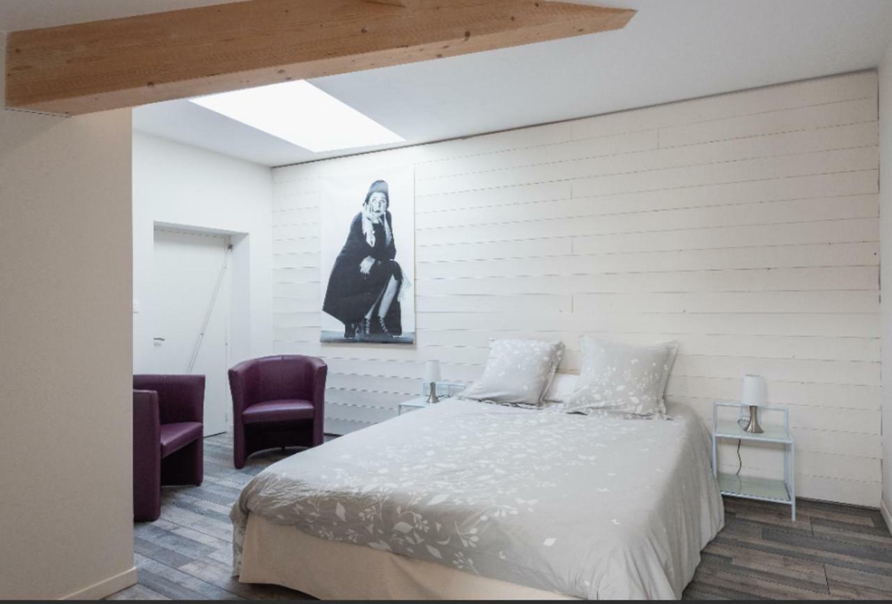 Grand Duplex Au Calme En Centre-Ville Villefranche-sur-Saône Exteriér fotografie
